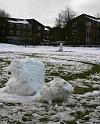 Snowy_Weather_Feb_09 (15)